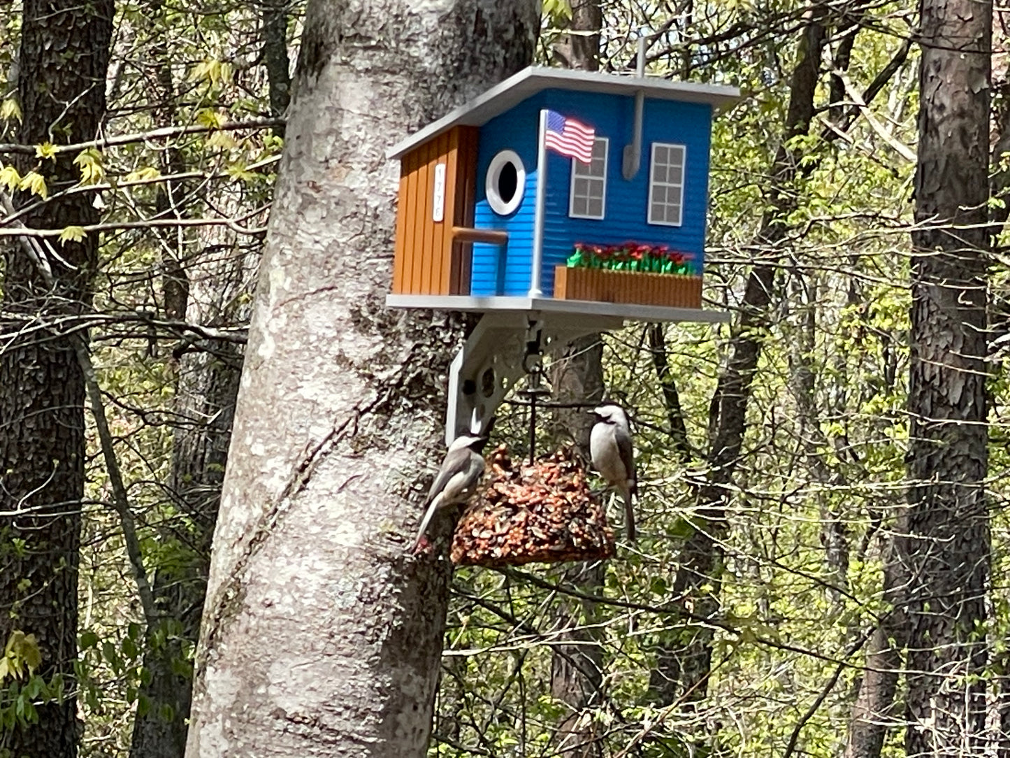Cottage Birdhouse